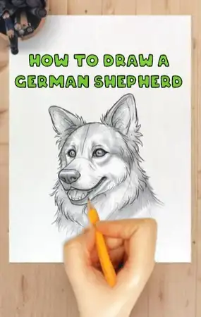 How to Draw a German Shepherd in 15 Steps by DrawingDog