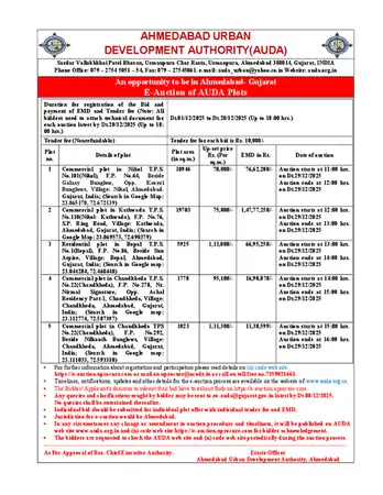 Microsoft Word - RFP For Auction-2025 new